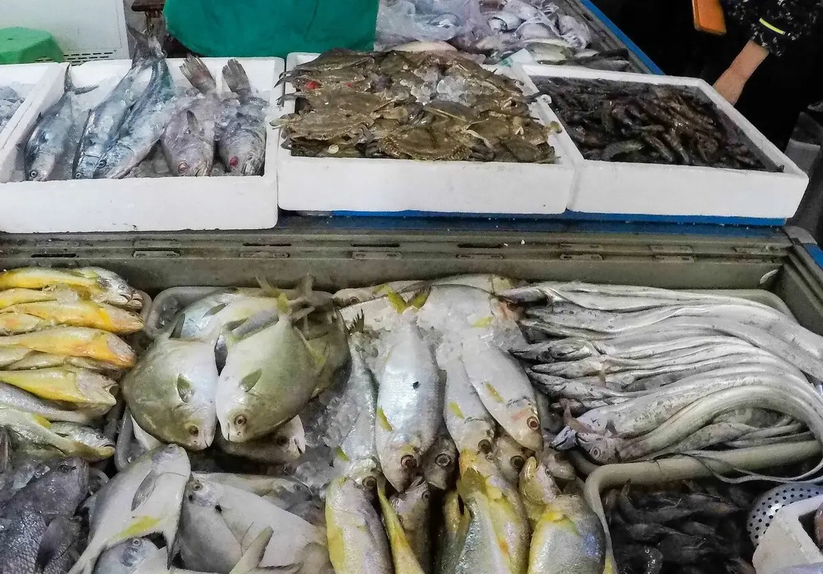 鱼类 - 石斑、金目鲈、红鸡鱼、马鲛