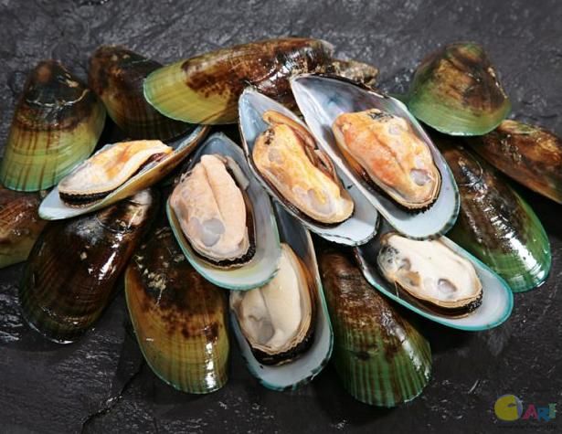 贝类 - 扇贝、蛤蜊、蚝、青口