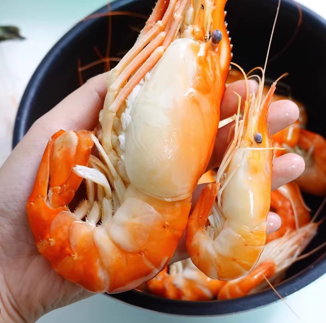 鲜虾类 - 老虎虾、明虾、白虾、花虾